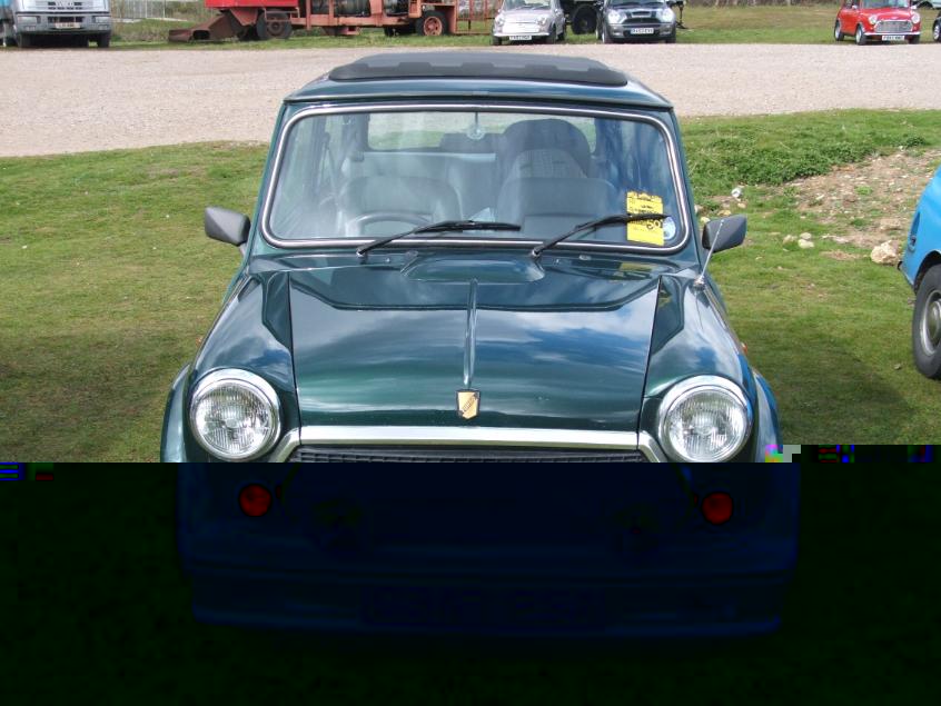 Brooklands 2009 pic 3.JPG