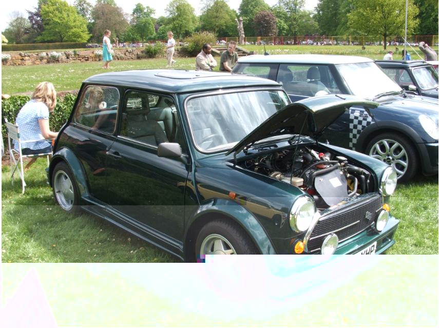R1020 Himley 2009.JPG