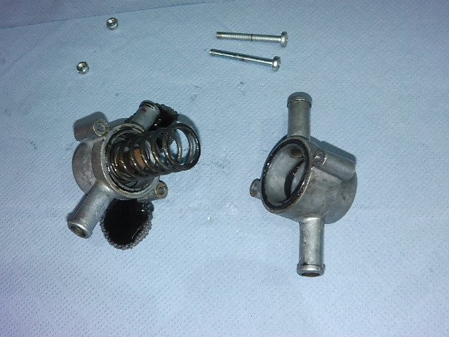 IMGA0984.JPG